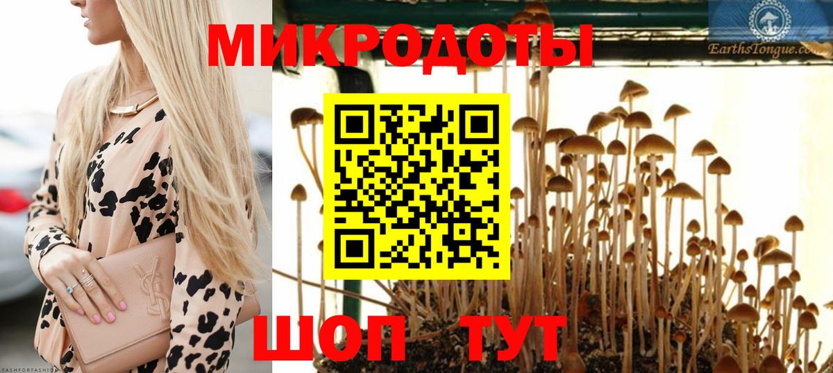 Псилоцибиновые грибы Cubensis Гусев
