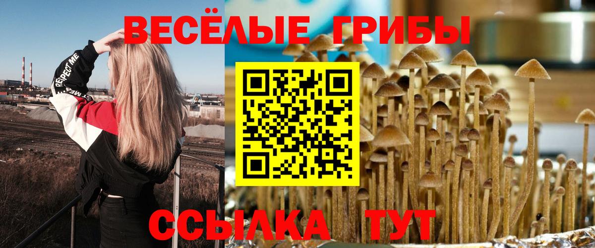 Гусев  Галлюциногенные грибы Psilocybine cubensis  наркота  Вход с VPN  Галлюциногенные грибы мухоморы 